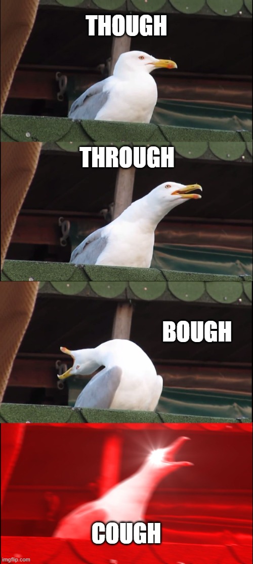 englische | THOUGH; THROUGH; BOUGH; COUGH | image tagged in memes,inhaling seagull | made w/ Imgflip meme maker
