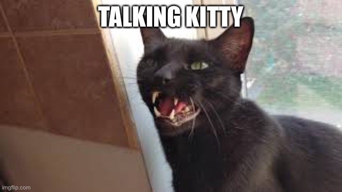TALKING KITTY | image tagged in cats | made w/ Imgflip meme maker
