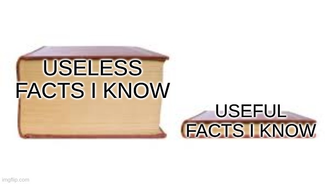 my facts | USELESS FACTS I KNOW; USEFUL FACTS I KNOW | image tagged in big book small book | made w/ Imgflip meme maker