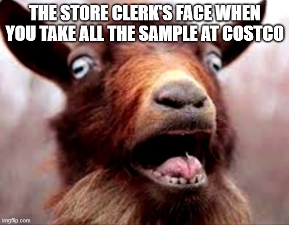 Costco Meme | THE STORE CLERK'S FACE WHEN YOU TAKE ALL THE SAMPLE AT COSTCO | image tagged in costco,confused screaming,screaming | made w/ Imgflip meme maker