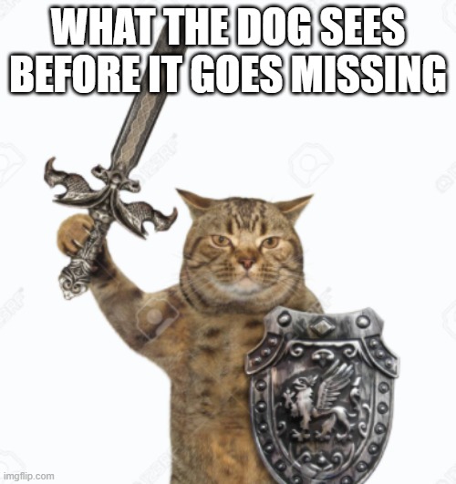 Another Cat Meme | WHAT THE DOG SEES BEFORE IT GOES MISSING | image tagged in cats,cat,warrior cats | made w/ Imgflip meme maker