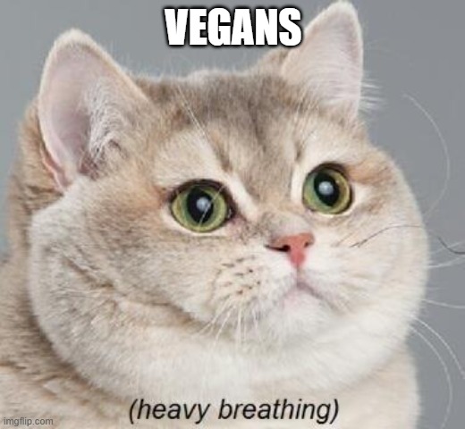 Heavy Breathing Cat Meme | VEGANS | image tagged in memes,heavy breathing cat | made w/ Imgflip meme maker