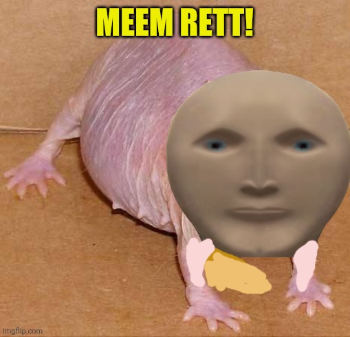 Meem mnnz zoo! | MEEM RETT! | image tagged in meme man,zoo,rats,cursed image | made w/ Imgflip meme maker