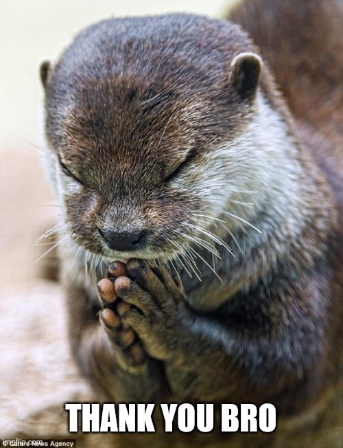 Thank you Lord Otter | THANK YOU BRO | image tagged in thank you lord otter | made w/ Imgflip meme maker