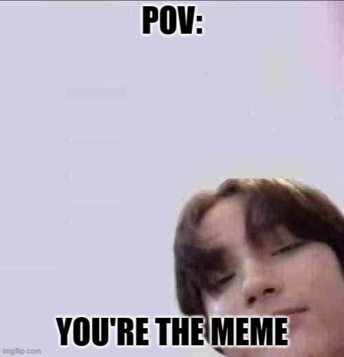 POV:; YOU'RE THE MEME | image tagged in funny memes | made w/ Imgflip meme maker