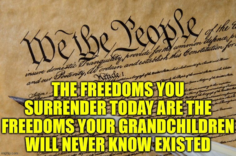 Rights are freedoms that do not infringe on other people's rights.  Rights do not come from the government, they come from God | THE FREEDOMS YOU SURRENDER TODAY ARE THE FREEDOMS YOUR GRANDCHILDREN WILL NEVER KNOW EXISTED | image tagged in constitution,rights,freedom,stupid democrats | made w/ Imgflip meme maker