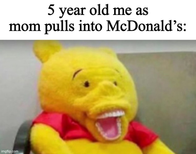 Winnie The Pooh Whaaat | 5 year old me as mom pulls into McDonald’s: | image tagged in winnie the pooh whaaat | made w/ Imgflip meme maker