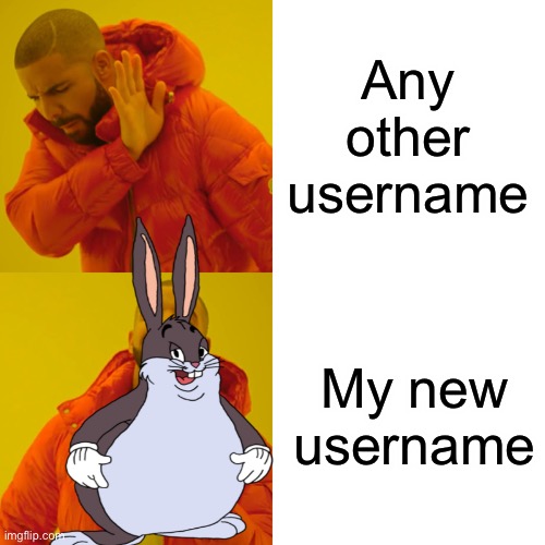 I know I have no fanbase, but heads up, I changed my name. | Any other username; My new username | image tagged in memes,drake hotline bling | made w/ Imgflip meme maker
