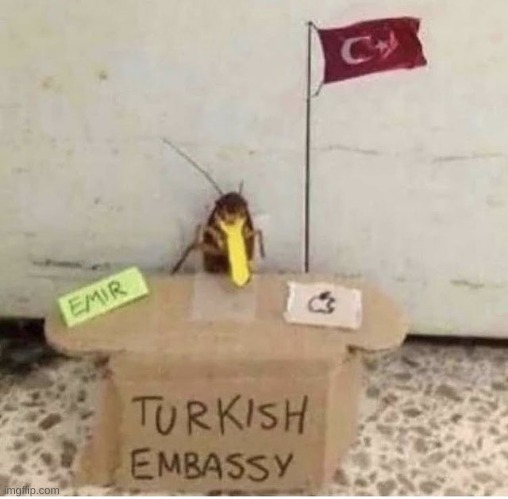 Turkish embassy, comment to pass | made w/ Imgflip meme maker