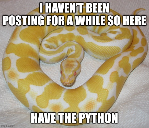 I HAVEN’T BEEN POSTING FOR A WHILE SO HERE; HAVE THE PYTHON | image tagged in have it | made w/ Imgflip meme maker