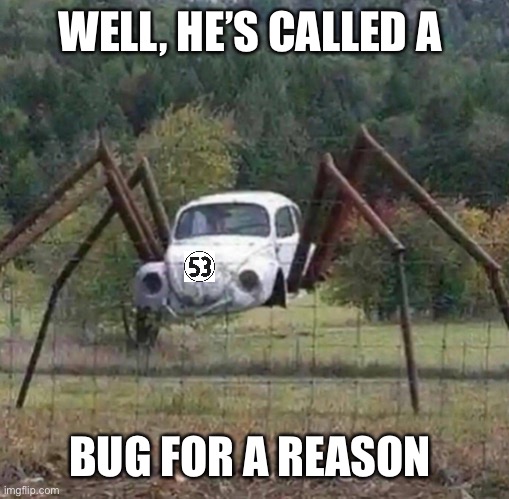 Herbie the volkswagon “bug” | WELL, HE’S CALLED A; BUG FOR A REASON | image tagged in the love bug,spider | made w/ Imgflip meme maker