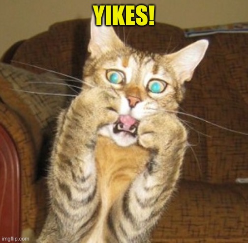 Scared cat | YIKES! | image tagged in scared cat | made w/ Imgflip meme maker