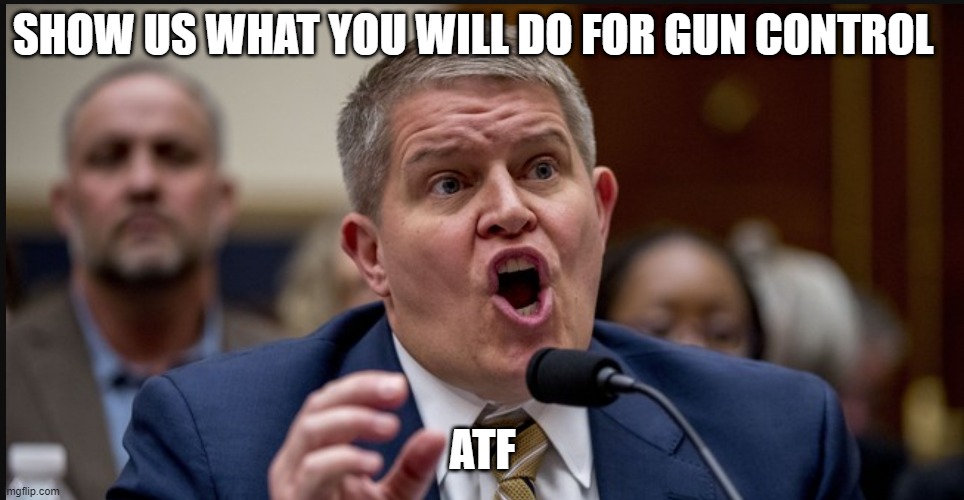 ATF | SHOW US WHAT YOU WILL DO FOR GUN CONTROL; ATF | image tagged in atf,gun control | made w/ Imgflip meme maker