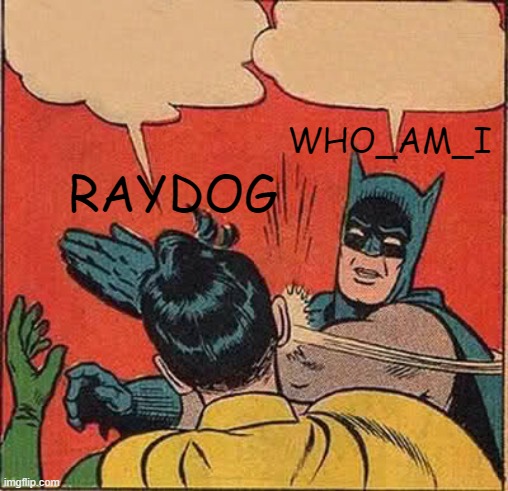 .. | WHO_AM_I; RAYDOG | image tagged in memes,batman slapping robin | made w/ Imgflip meme maker