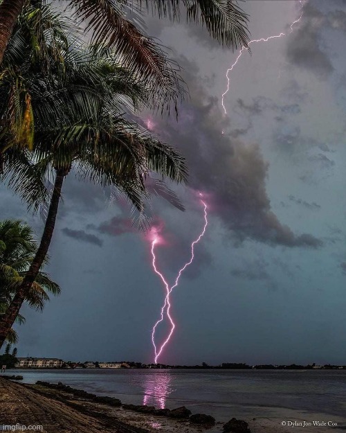 Pink lightning  Sarasota, FL.Photo credit: @djwcphoto | image tagged in pink,lightning,florida,photography,beautiful nature,awesome pic | made w/ Imgflip meme maker