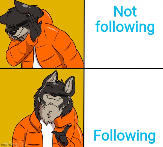 Furry Drake Hotline Bling | Not following Following | image tagged in furry drake hotline bling | made w/ Imgflip meme maker