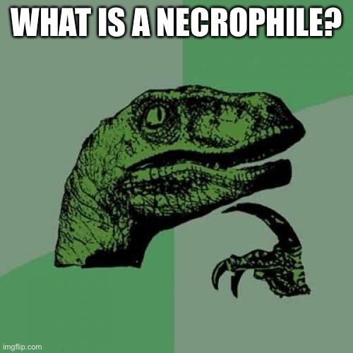 Philosoraptor Meme | WHAT IS A NECROPHILE? | image tagged in memes,philosoraptor | made w/ Imgflip meme maker
