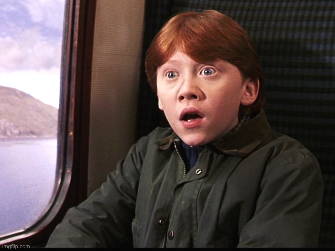 Ron Weasly | image tagged in ron weasly | made w/ Imgflip meme maker