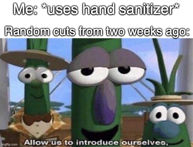 The pain..... |  Me: *uses hand sanitizer*; Random cuts from two weeks ago: | image tagged in veggietales 'allow us to introduce ourselfs',allow us to introduce ourselves,hand sanitizer,ouch,pain,relatable | made w/ Imgflip meme maker