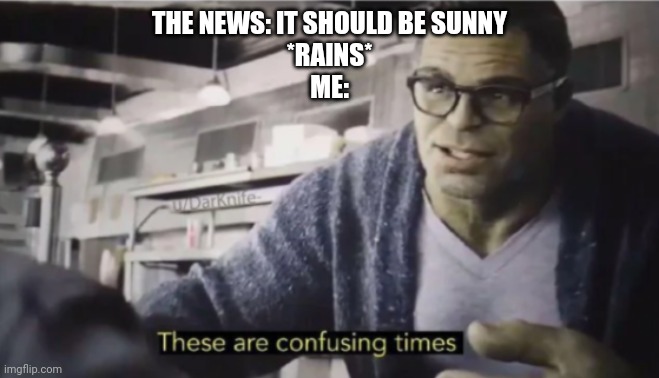 These are confusing times | THE NEWS: IT SHOULD BE SUNNY
*RAINS*
ME: | image tagged in these are confusing times | made w/ Imgflip meme maker