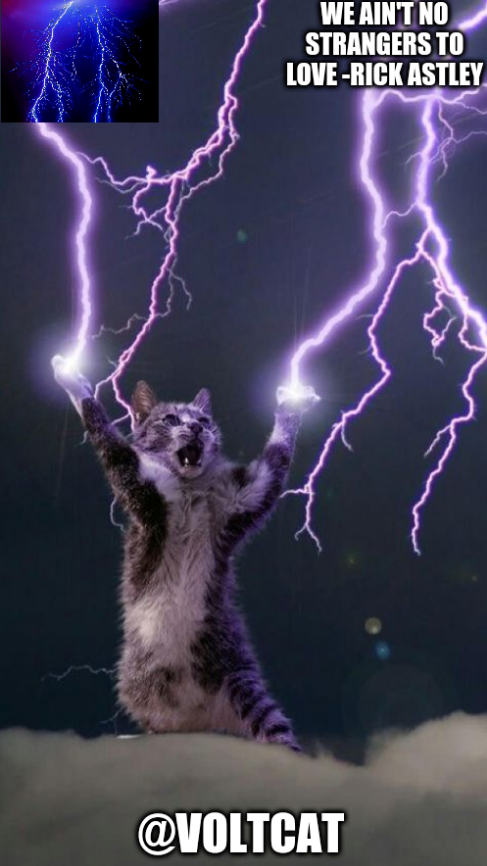 voltcats announcement template Blank Meme Template