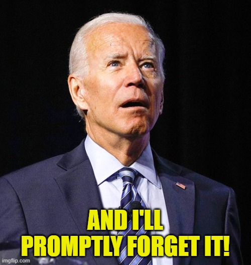 Joe Biden | AND I'LL PROMPTLY FORGET IT! | image tagged in joe biden | made w/ Imgflip meme maker