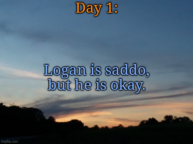 Logan | Day 1:; Logan is saddo, but he is okay. | image tagged in saddo | made w/ Imgflip meme maker