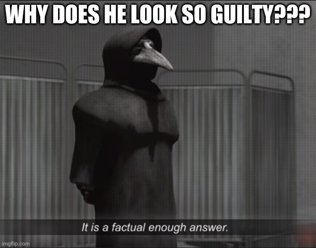 It is a factual enough answer | WHY DOES HE LOOK SO GUILTY??? | image tagged in it is a factual enough answer | made w/ Imgflip meme maker