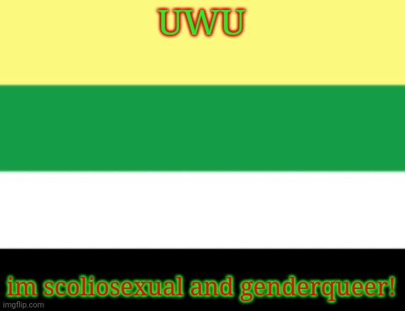 Skoliosexual pride flag | UWU; im scoliosexual and genderqueer! | image tagged in skoliosexual pride flag | made w/ Imgflip meme maker