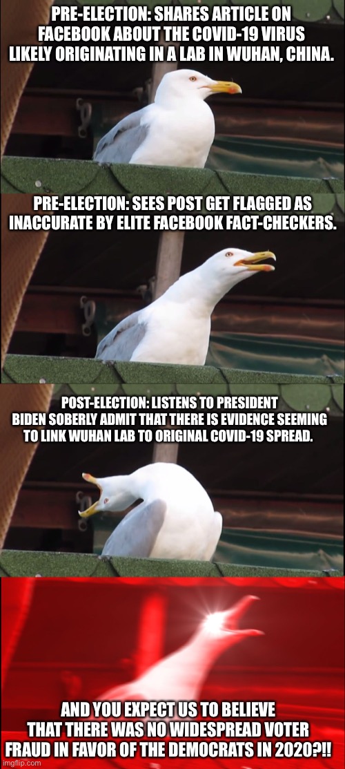 TO’d Seagull | PRE-ELECTION: SHARES ARTICLE ON FACEBOOK ABOUT THE COVID-19 VIRUS LIKELY ORIGINATING IN A LAB IN WUHAN, CHINA. PRE-ELECTION: SEES POST GET FLAGGED AS INACCURATE BY ELITE FACEBOOK FACT-CHECKERS. POST-ELECTION: LISTENS TO PRESIDENT BIDEN SOBERLY ADMIT THAT THERE IS EVIDENCE SEEMING TO LINK WUHAN LAB TO ORIGINAL COVID-19 SPREAD. AND YOU EXPECT US TO BELIEVE THAT THERE WAS NO WIDESPREAD VOTER FRAUD IN FAVOR OF THE DEMOCRATS IN 2020?!! | image tagged in memes,inhaling seagull,wuhan,covid | made w/ Imgflip meme maker