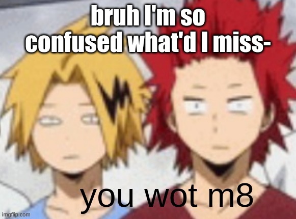 you wot m8 | bruh I'm so confused what'd I miss- | image tagged in you wot m8 | made w/ Imgflip meme maker