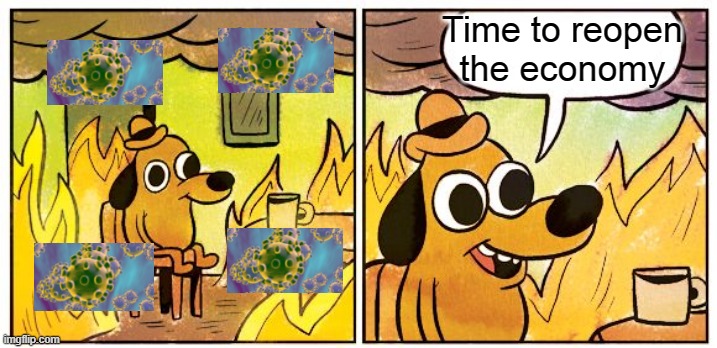 This Is Fine | Time to reopen the economy | image tagged in memes,this is fine | made w/ Imgflip meme maker
