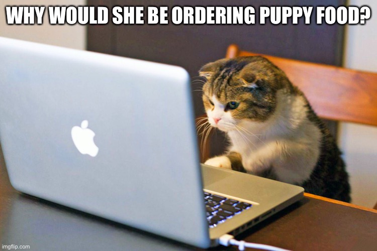 Cat laptop |  WHY WOULD SHE BE ORDERING PUPPY FOOD? | image tagged in cat laptop | made w/ Imgflip meme maker