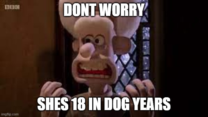 The Vicar | DONT WORRY; SHES 18 IN DOG YEARS | image tagged in wallace and gromit | made w/ Imgflip meme maker
