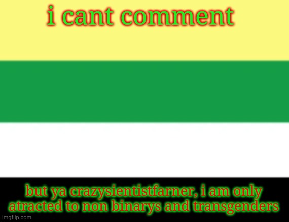 Skoliosexual pride flag | i cant comment; but ya crazysientistfarner, i am only atracted to non binarys and transgenders | image tagged in skoliosexual pride flag | made w/ Imgflip meme maker