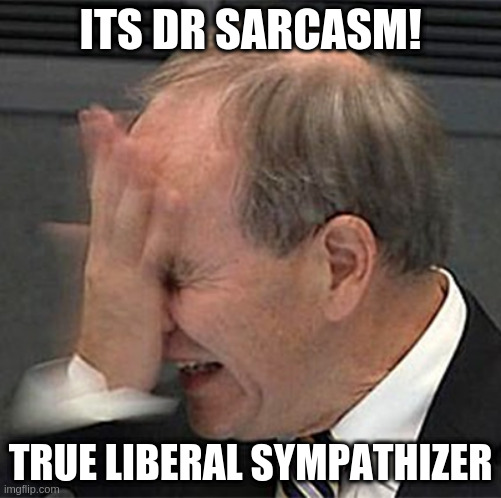 facepalm | ITS DR SARCASM! TRUE LIBERAL SYMPATHIZER | image tagged in facepalm | made w/ Imgflip meme maker