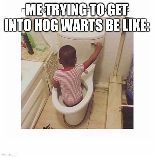 boy in toilet | ME TRYING TO GET INTO HOG WARTS BE LIKE: | image tagged in boy in toilet | made w/ Imgflip meme maker
