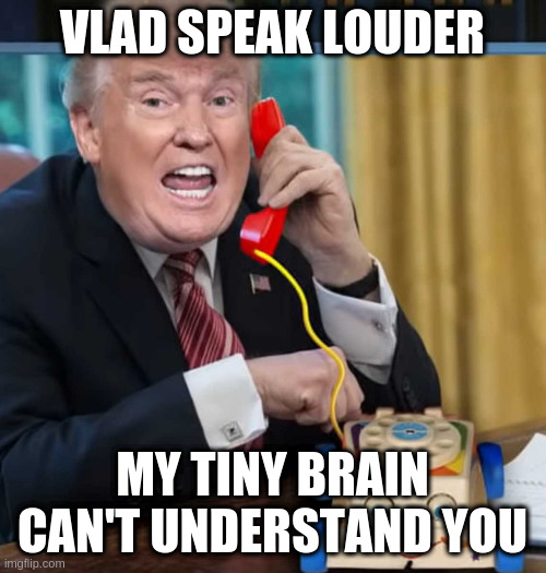 I'm the president | VLAD SPEAK LOUDER; MY TINY BRAIN CAN'T UNDERSTAND YOU | image tagged in i'm the president | made w/ Imgflip meme maker