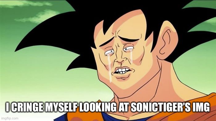 Goku Sad | I CRINGE MYSELF LOOKING AT SONICTIGER’S IMG | image tagged in goku sad | made w/ Imgflip meme maker