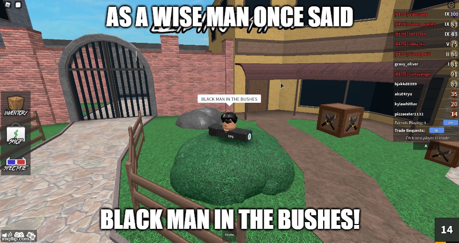 Black man in the bushes | AS A WISE MAN ONCE SAID; BLACK MAN IN THE BUSHES! | image tagged in memes | made w/ Imgflip meme maker