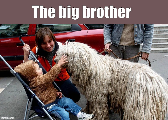 The big brother | made w/ Imgflip meme maker