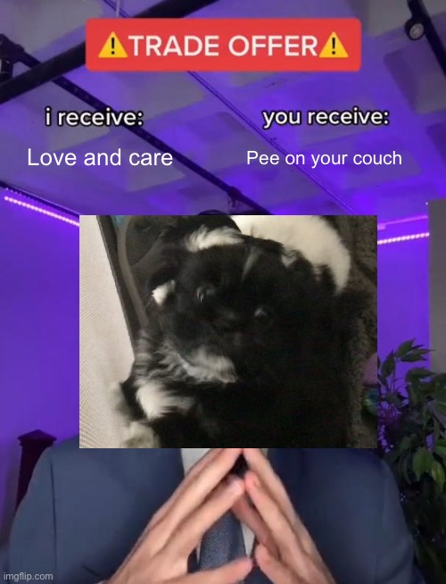 Trade Offer | Love and care; Pee on your couch | image tagged in trade offer | made w/ Imgflip meme maker