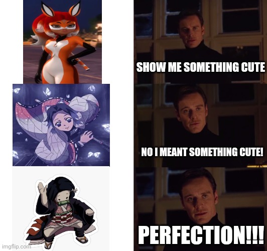 Beauty | SHOW ME SOMETHING CUTE; NO I MEANT SOMETHING CUTE! PERFECTION!!! | image tagged in perfection | made w/ Imgflip meme maker