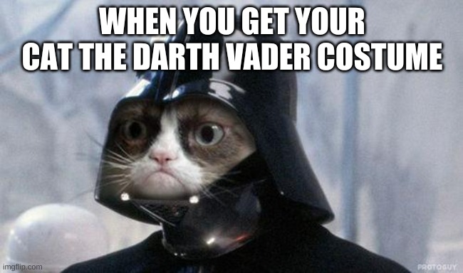 Grumpy Cat Star Wars |  WHEN YOU GET YOUR CAT THE DARTH VADER COSTUME | image tagged in memes,grumpy cat star wars,grumpy cat | made w/ Imgflip meme maker