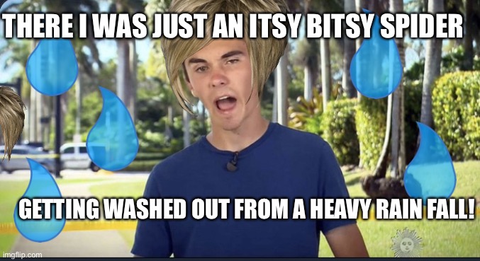 David Hogg | THERE I WAS JUST AN ITSY BITSY SPIDER; GETTING WASHED OUT FROM A HEAVY RAIN FALL! | image tagged in david hogg | made w/ Imgflip meme maker