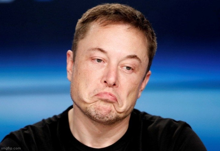 Sad Elon | image tagged in sad elon | made w/ Imgflip meme maker