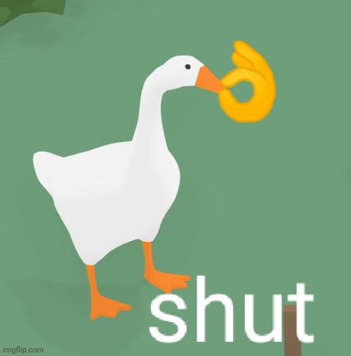 Shut the goose now | image tagged in shut the goose now | made w/ Imgflip meme maker