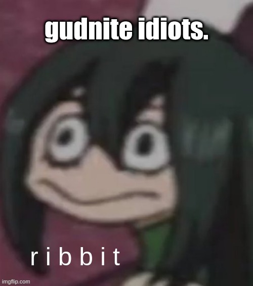 ribbit | gudnite idiots. | image tagged in ribbit | made w/ Imgflip meme maker