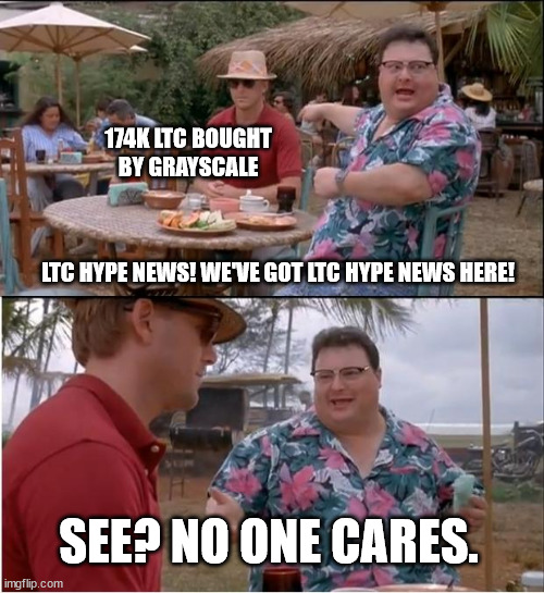 See Nobody Cares Meme | 174K LTC BOUGHT BY GRAYSCALE; LTC HYPE NEWS! WE'VE GOT LTC HYPE NEWS HERE! SEE? NO ONE CARES. | image tagged in memes,see nobody cares | made w/ Imgflip meme maker