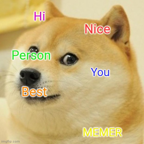 Doge | Hi; Nice; Person; You; Best; MEMER | image tagged in memes,doge | made w/ Imgflip meme maker